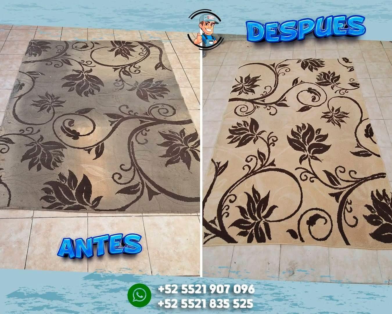 Trabajo de Protec hause